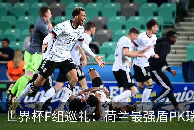 世界杯F组巡礼：荷兰最强盾PK瑞典犀利刀 日本短板明显